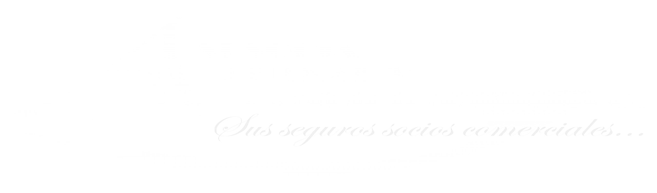 ASESORIA ADUANAL Y ACONDICIONADOS S.C.